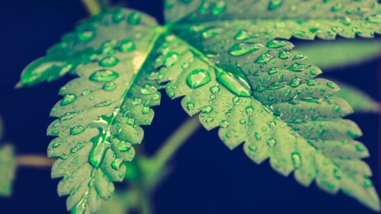 1695069133-5165-3046-lxb_photonKIsrqvC4wMlxb_photo-